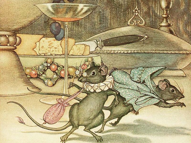 Of Mice and Men – our very own Jack Black in Ghana who helped our Accra rat&nbsp;problem!