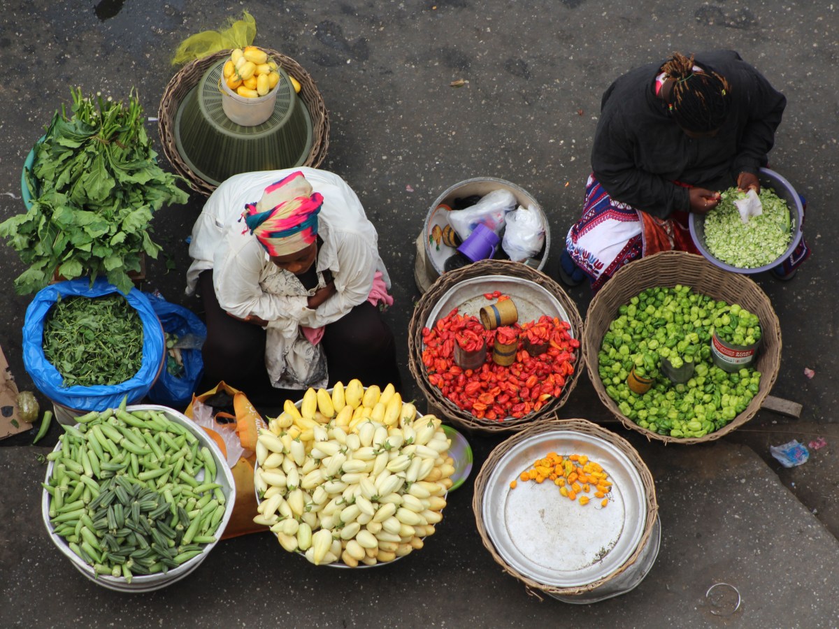 A new family member lying in the suitcase and the stupid price of that red pepper – Accra expat&nbsp;musings