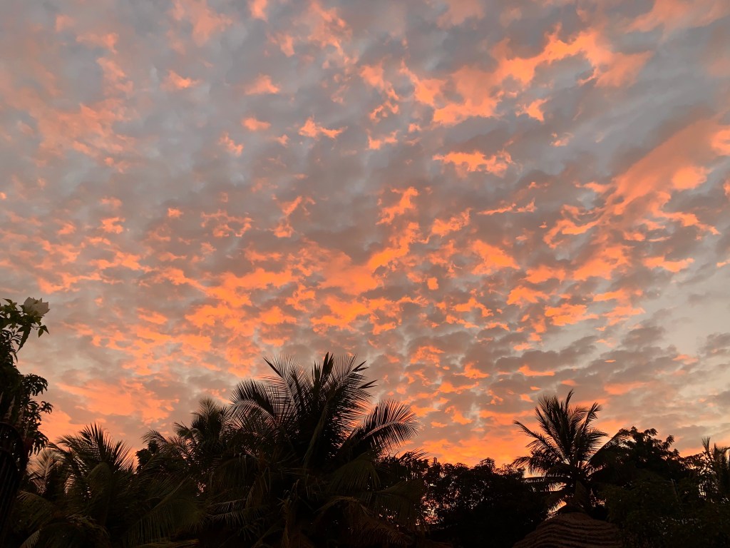 A golden sunset at Kokrobite gardens,