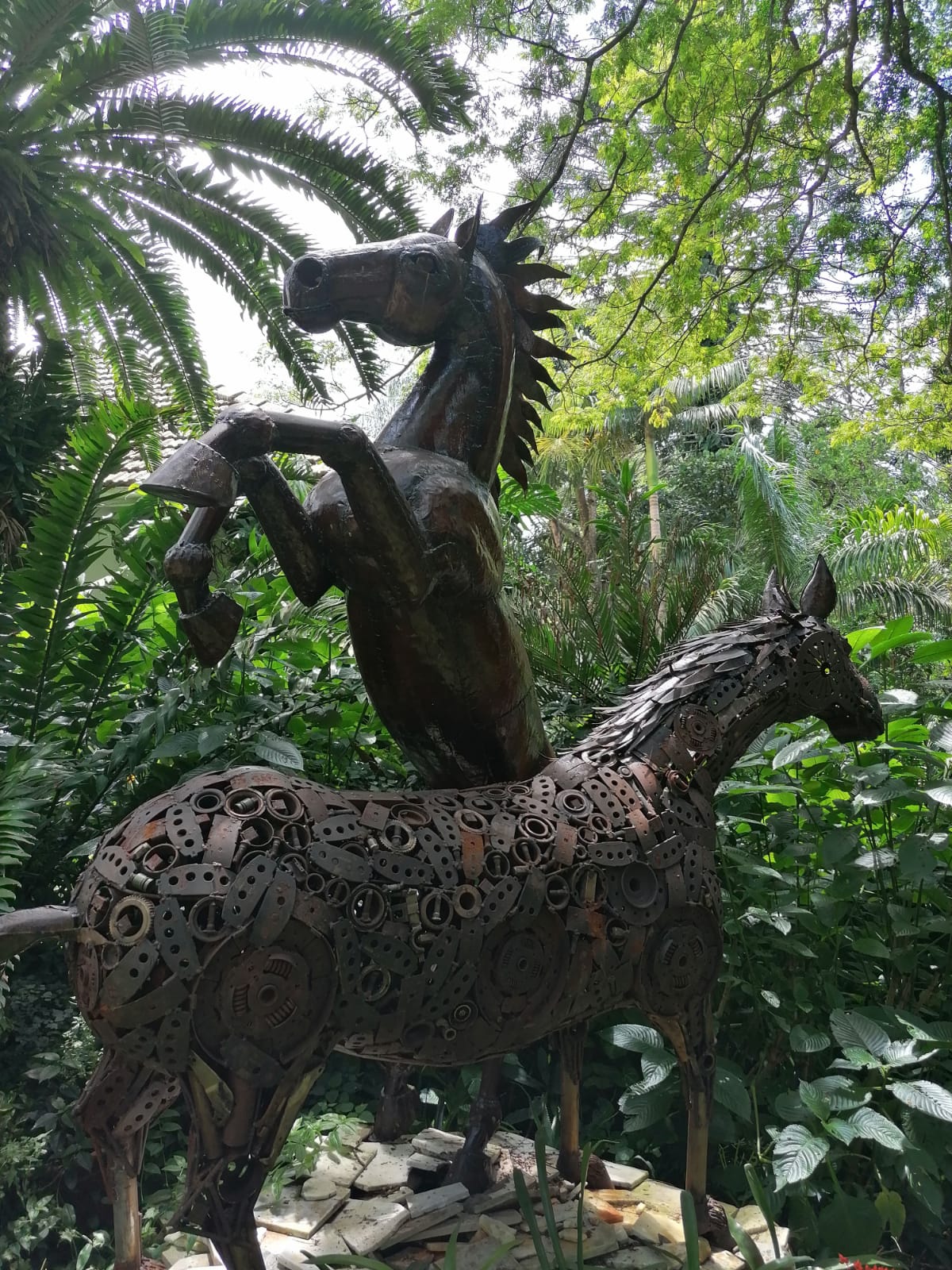 Horse sculptures at the Kloof Ammazulu Gardens and Sculpture Precinct