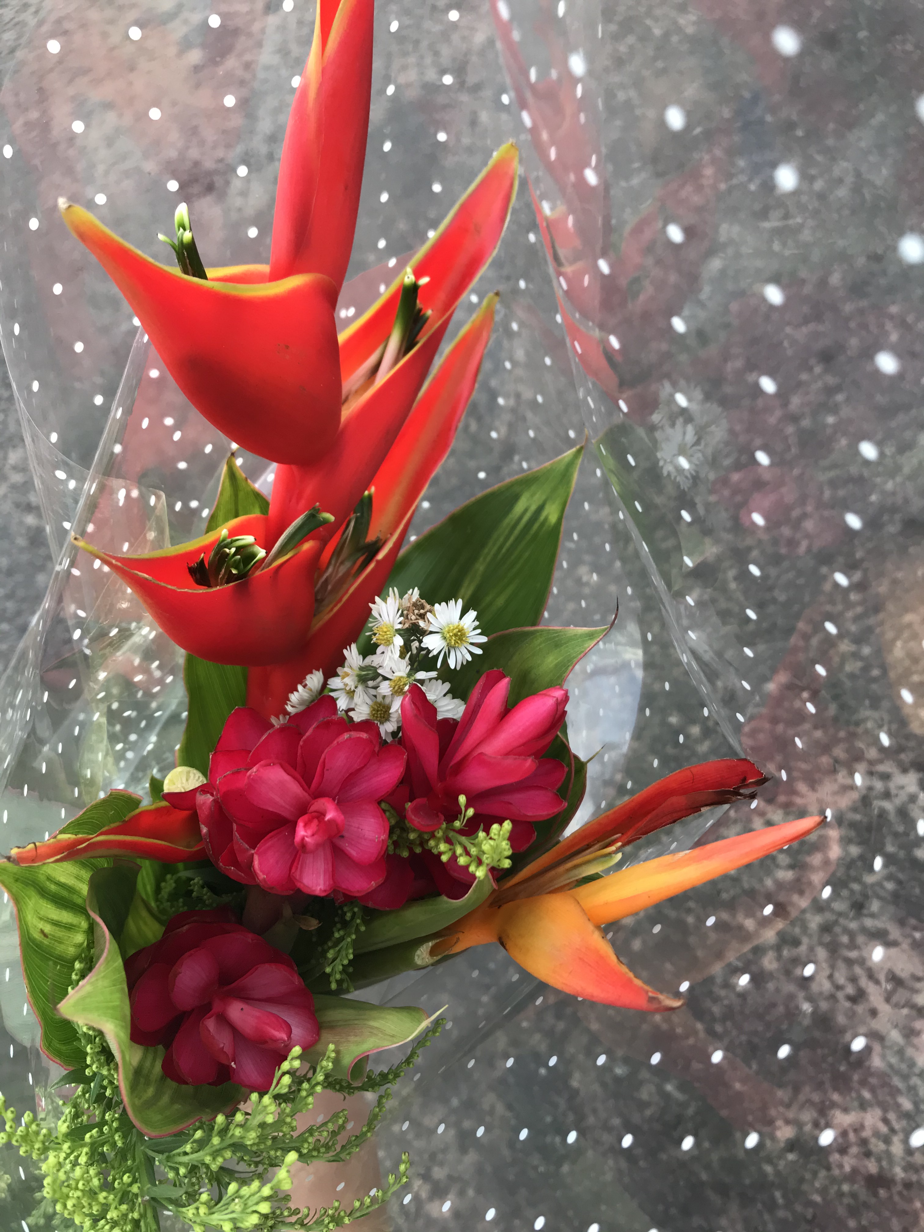 Tropical flowers sold just off Accra's Oxford Street