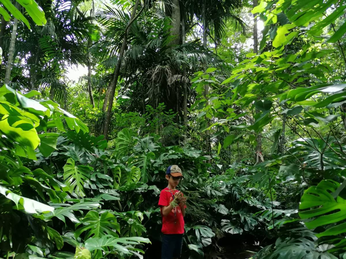 The Kloof Ammazulu Sculpture Gardens in KwaZulu Natal leaves one feeling childlike and full of&nbsp;wonder