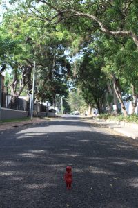 Red Clonette doll stands in a street of Neem trees in Accra Ghana