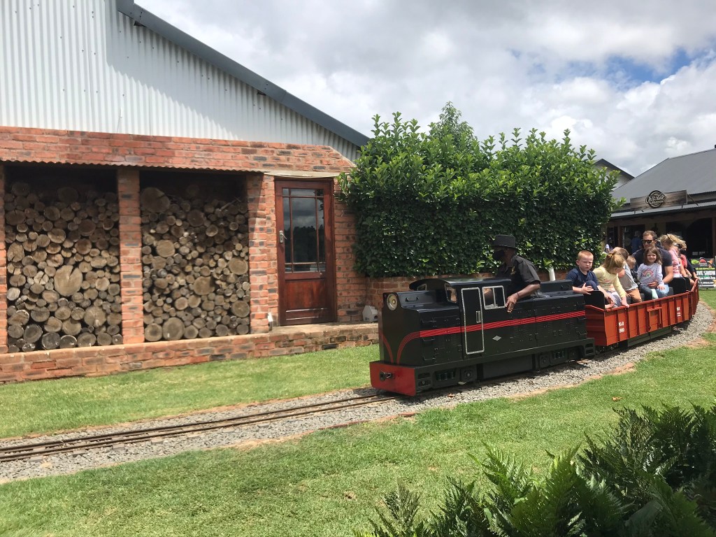 Children ride on the Choo Choo Train at Piggly Wiggly